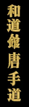 Schriftzeichen Wado Kan Karate Do